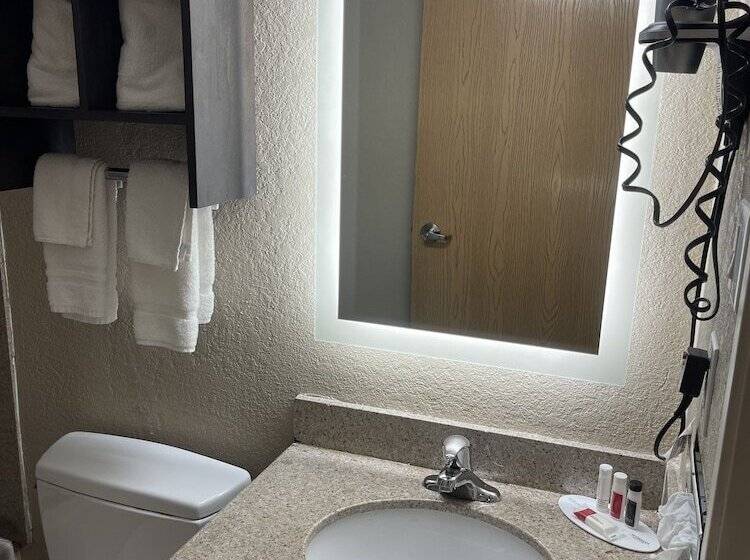 酒店 Super 8 By Wyndham San Antonio Downtown Ne