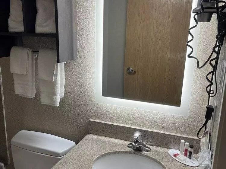 酒店 Super 8 By Wyndham San Antonio Downtown Ne