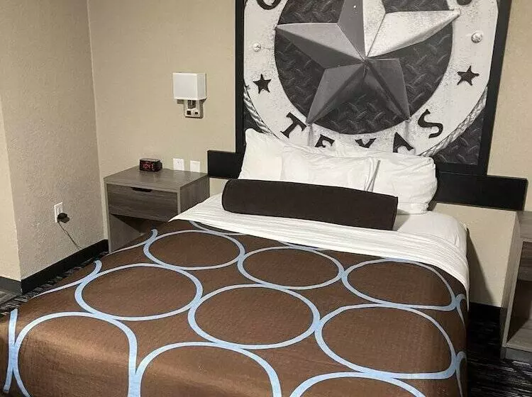 酒店 Super 8 By Wyndham San Antonio Downtown Ne