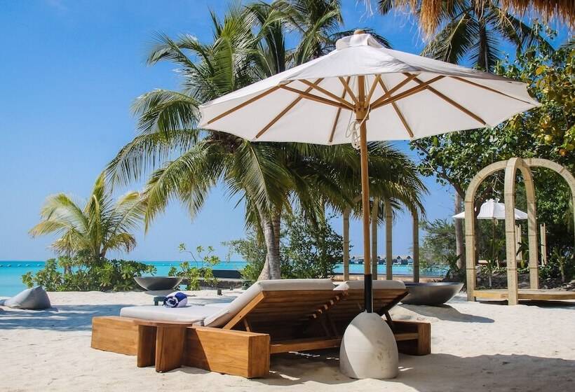 Отель Sirru Fen Fushi Private Lagoon Resort