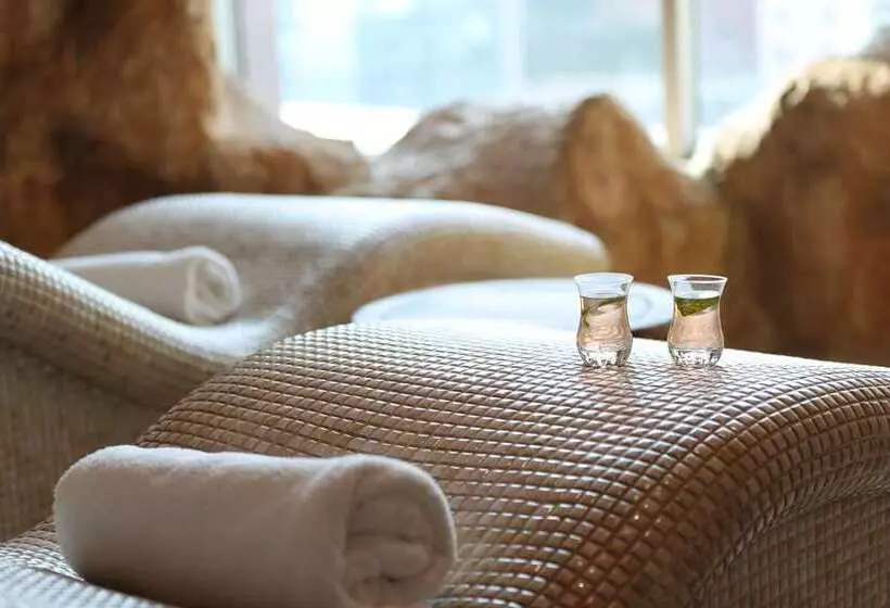 هتل Al Habtoor Grand