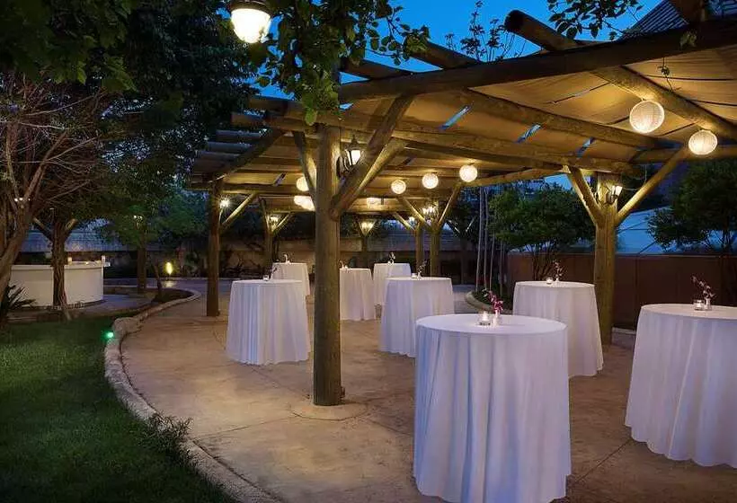 هتل Al Habtoor Grand