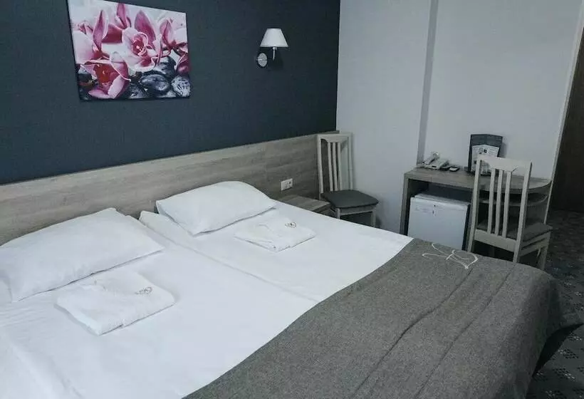 酒店 Amaks Golden Ring