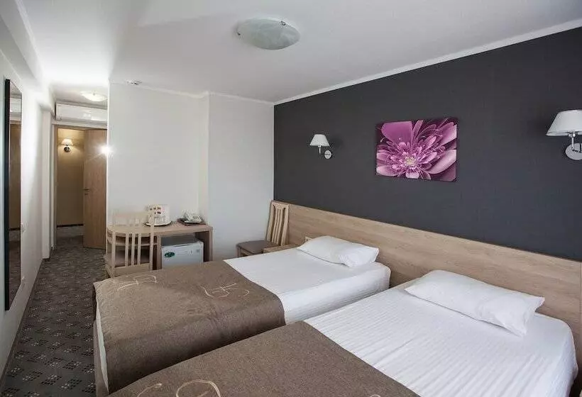 酒店 Amaks Golden Ring