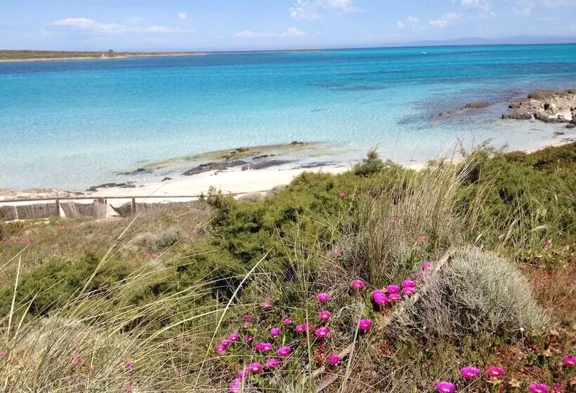 Hotel Cala Rosa Club