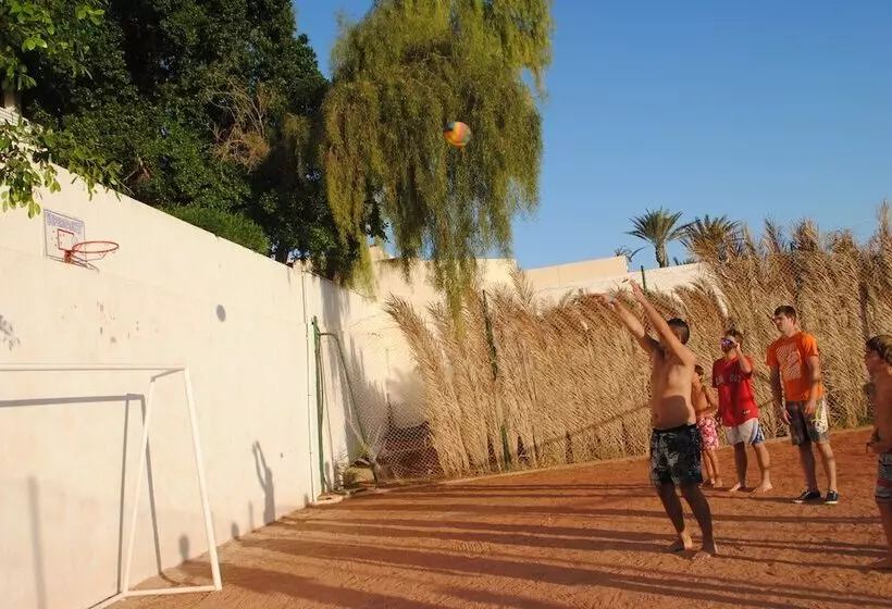 Отель Hôtel Joya Paradise & Spa Djerba