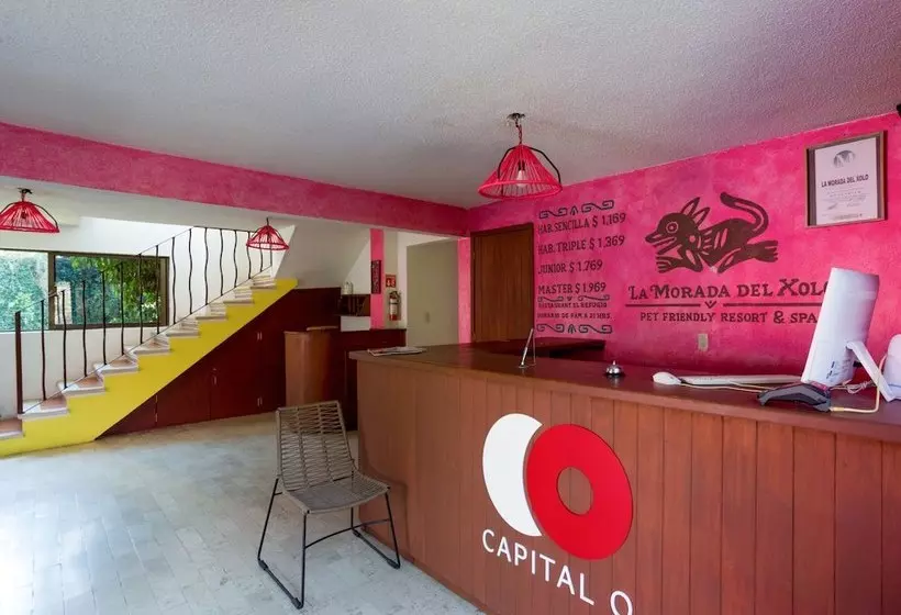 ホテル Capital O La Morada Del Xolo