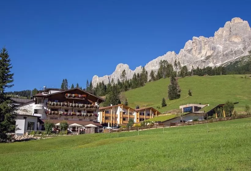 ホテル Moseralm Dolomiti Spa Resort