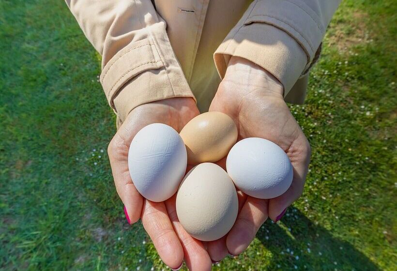 乡村酒店  Agriturismo Valle Dei Venti