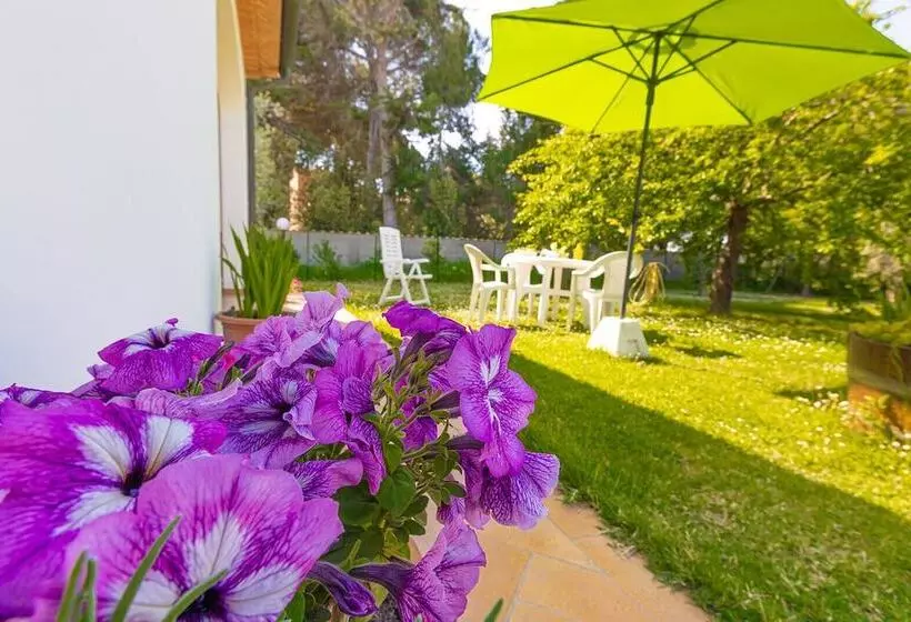 田舎風ホテル Agriturismo Valle Dei Venti