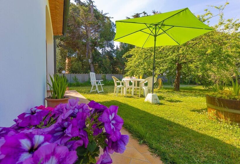 乡村酒店  Agriturismo Valle Dei Venti