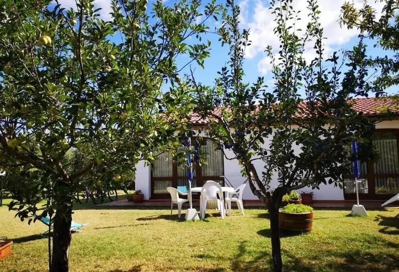田舎風ホテル Agriturismo Valle Dei Venti
