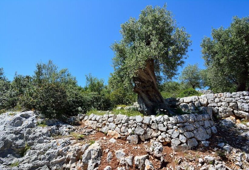 בית מלון כפרי Masseria Spetterrata