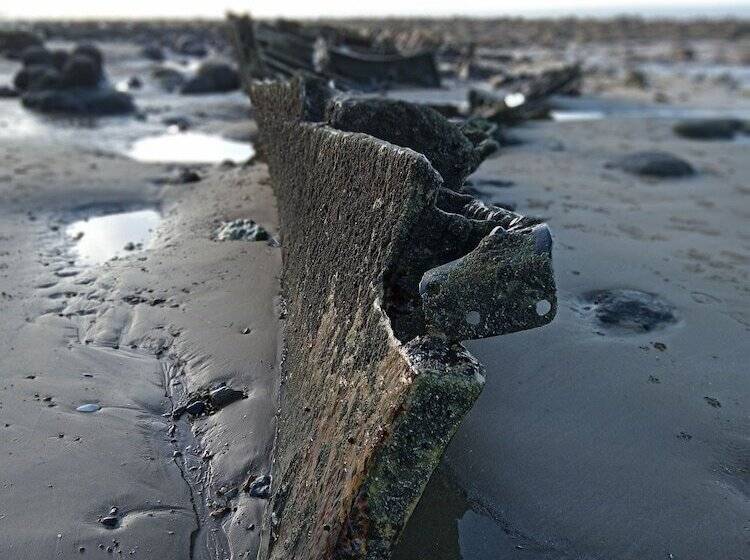 Stunning Driftwood Cottage At Holme Next The Sea