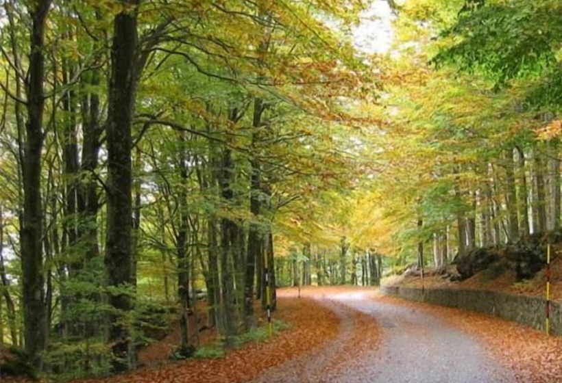 בית מלון כפרי Albergo Generale Cantore