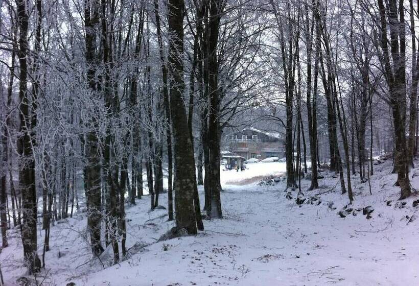 בית מלון כפרי Albergo Generale Cantore