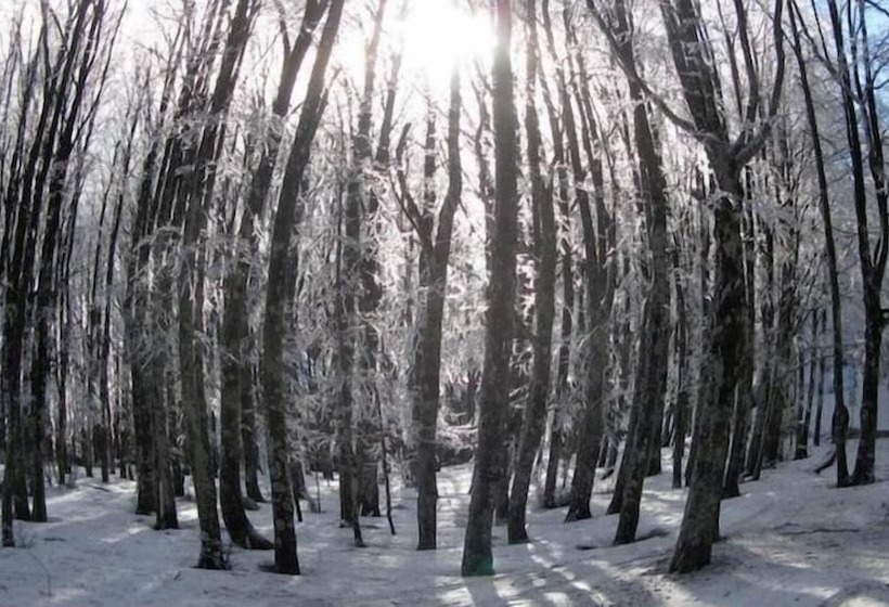 בית מלון כפרי Albergo Generale Cantore