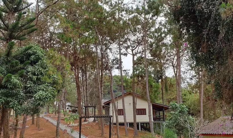 Hotelli Auberge Plain Of Jars   Phouphadeng