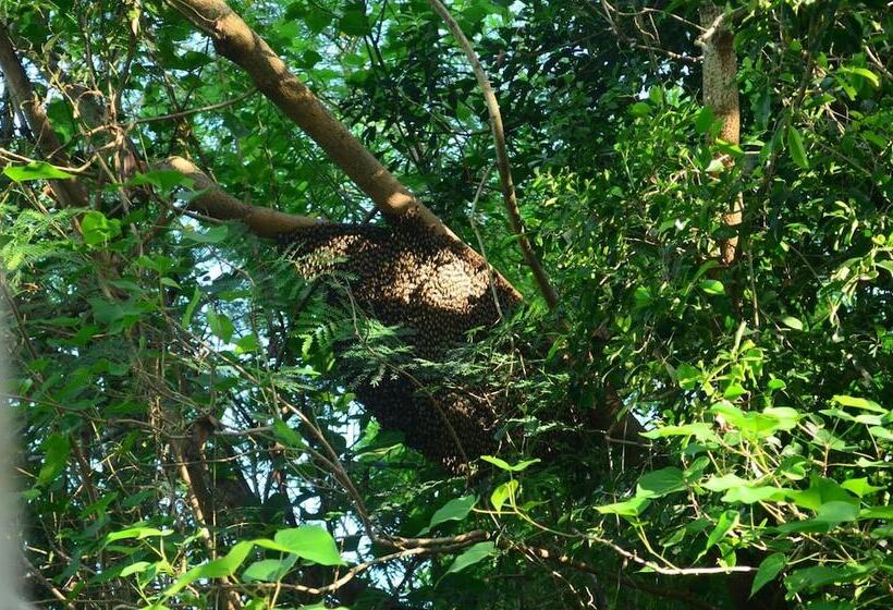 ホテル Vallee 69 Eco Villa Tissa,yala