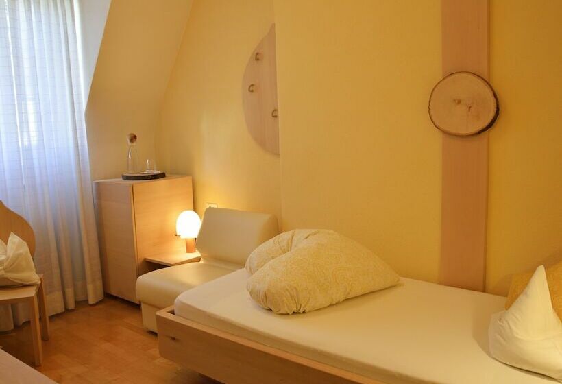 호텔 Villa Freiheim