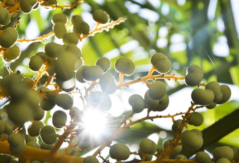 호텔 Villa Freiheim