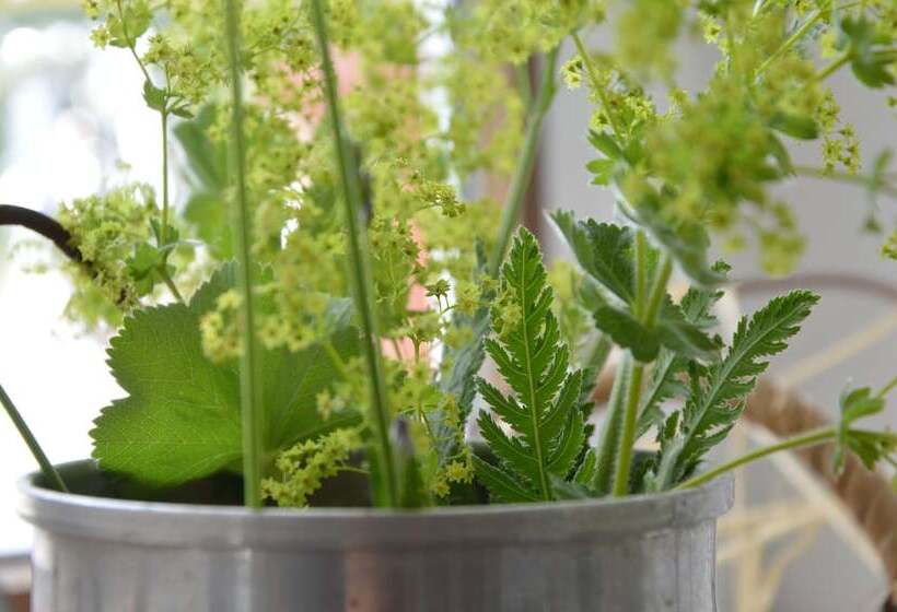 호텔 Villa Freiheim