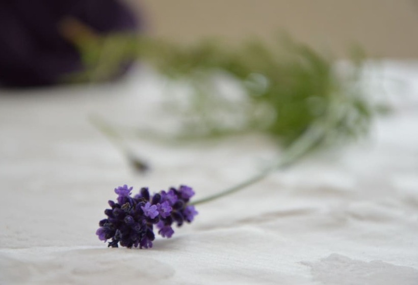 호텔 Villa Freiheim