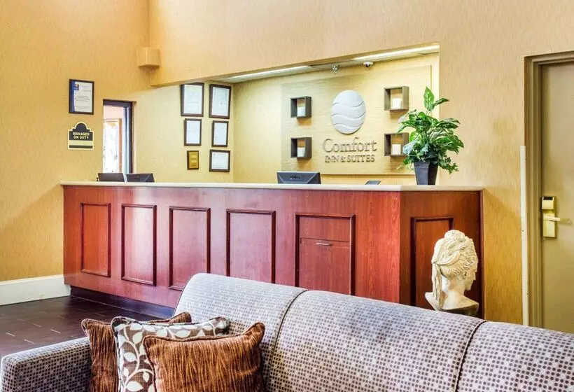 ホテル Comfort Inn & Suites At Stone Mountain