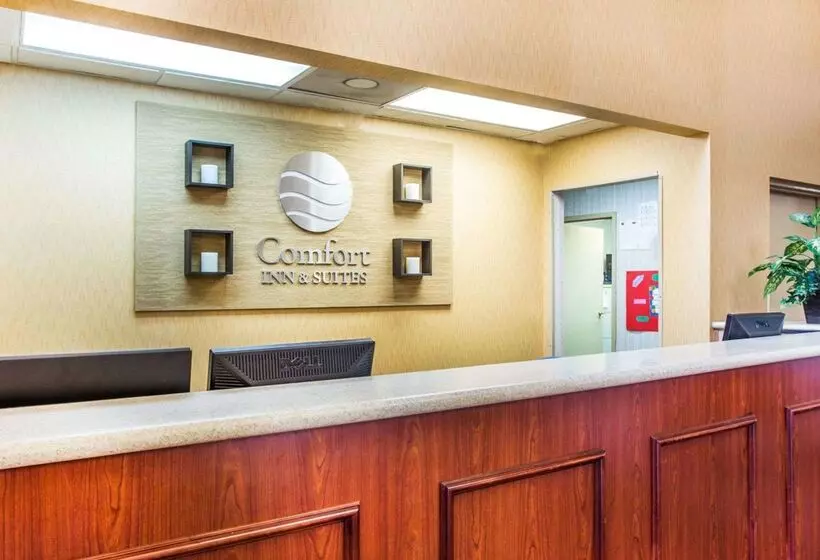 ホテル Comfort Inn & Suites At Stone Mountain