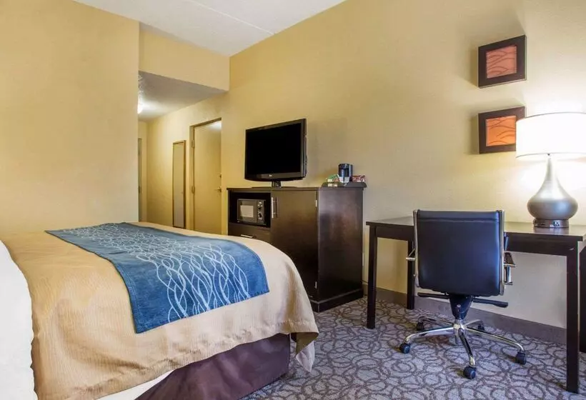 ホテル Comfort Inn & Suites At Stone Mountain
