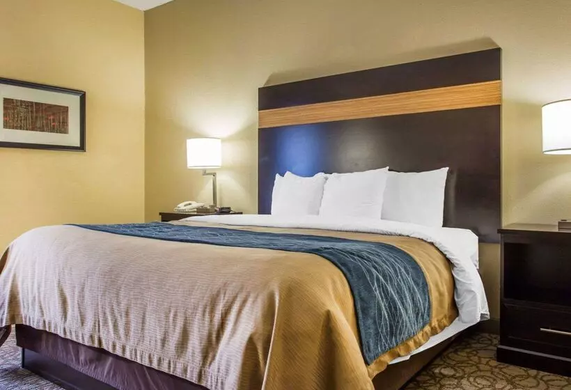 ホテル Comfort Inn & Suites At Stone Mountain