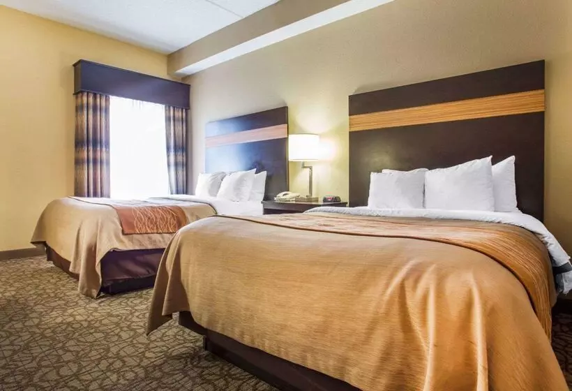 ホテル Comfort Inn & Suites At Stone Mountain