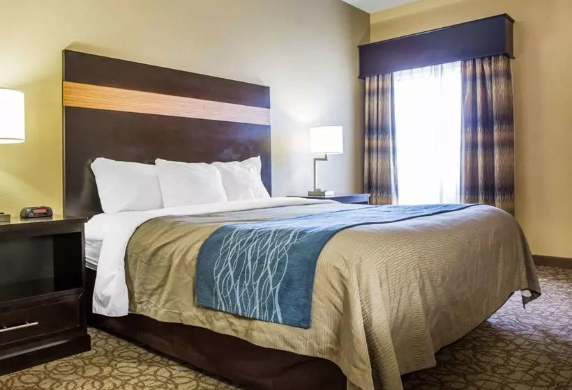 ホテル Comfort Inn & Suites At Stone Mountain