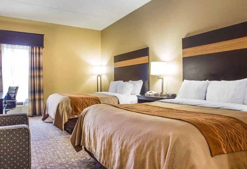 ホテル Comfort Inn & Suites At Stone Mountain