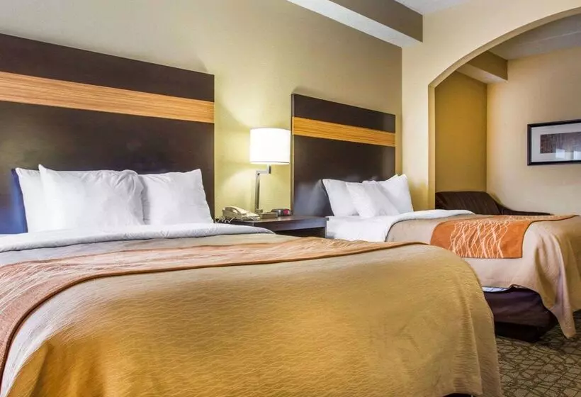 ホテル Comfort Inn & Suites At Stone Mountain