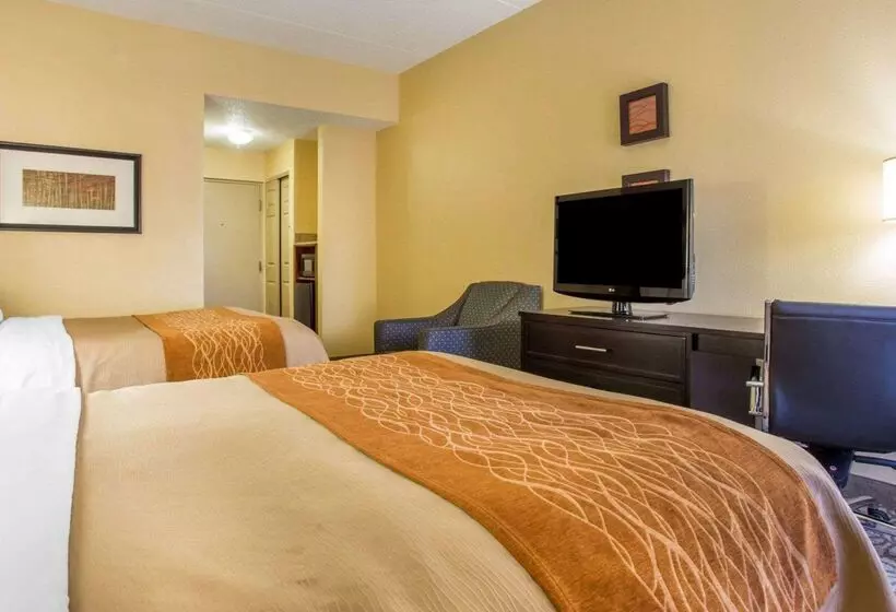 ホテル Comfort Inn & Suites At Stone Mountain