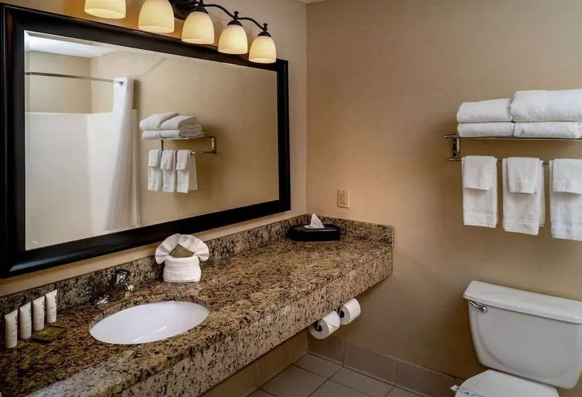 فندق Country Inn & Suites By Radisson, Charleston South, Wv