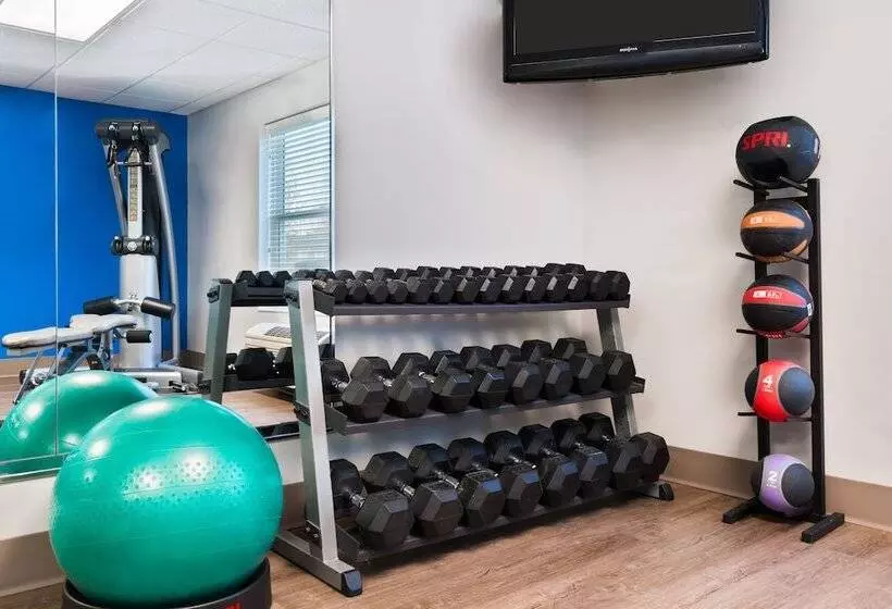 Hotel Holiday Inn Express & Suites   Columbus Airport East, An Ihg