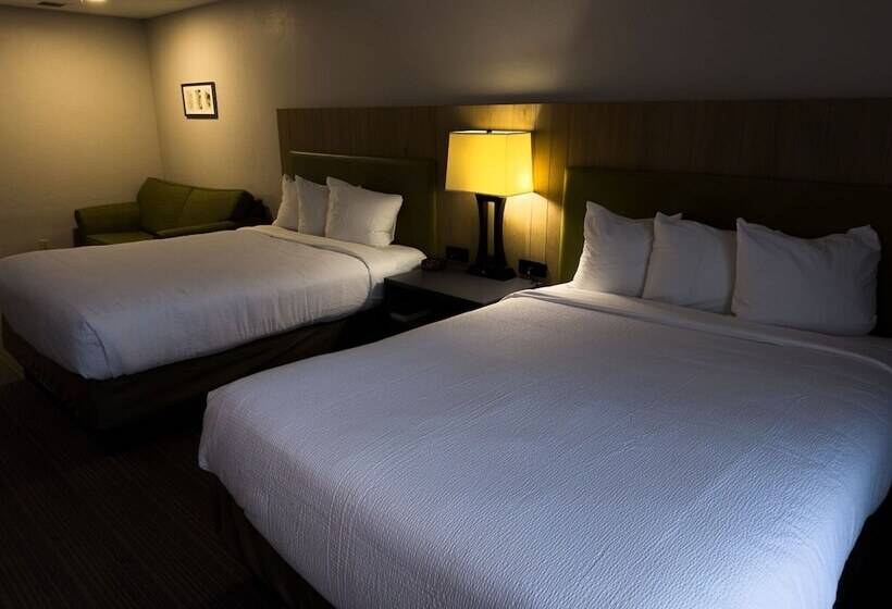 호텔 Radiant Inn And Suites