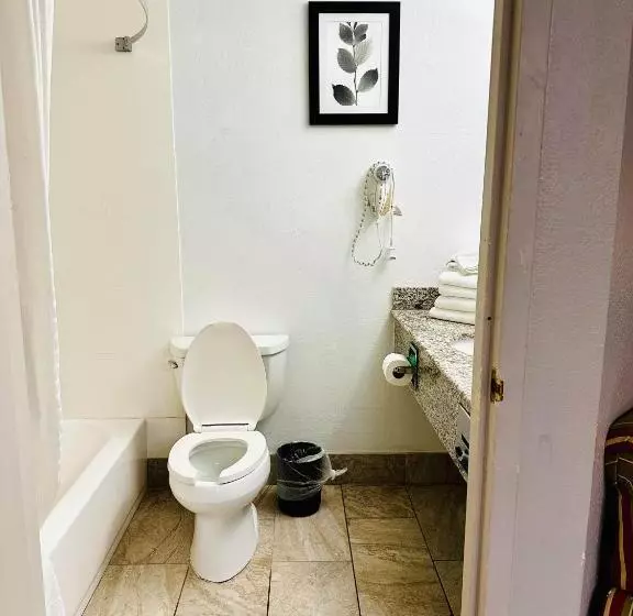 酒店 Radiant Inn And Suites