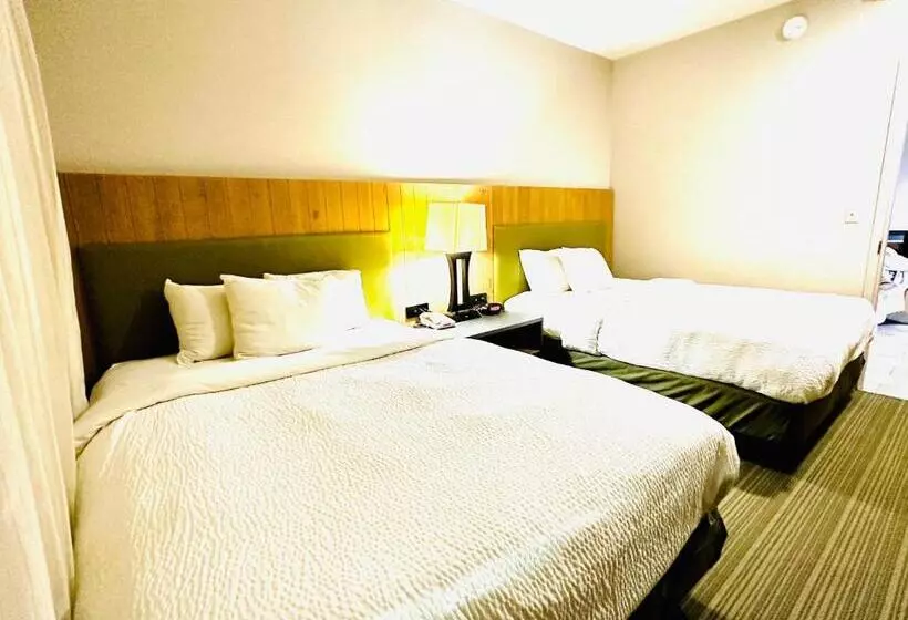 酒店 Radiant Inn And Suites