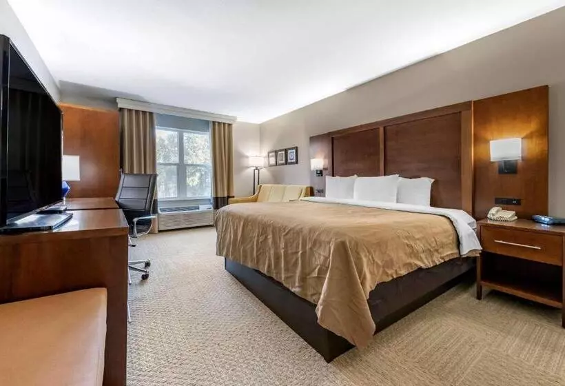 Hotel Spark By Hilton St. Augustine I 95