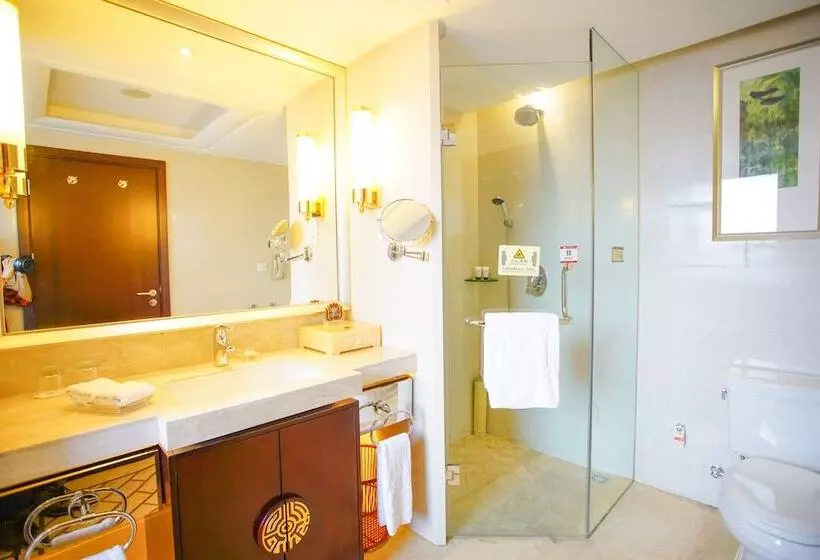 Grand Soluxe International Hotel Xi An