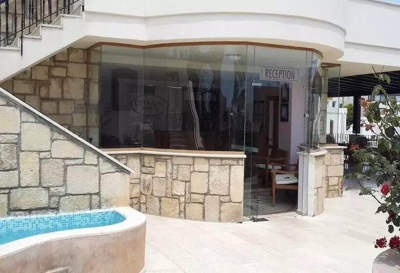 Zera Bodrum By özükara