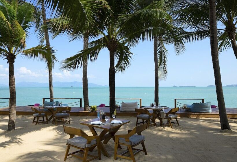 Kurort  Samui Palm Beach Lead By Celes Samui