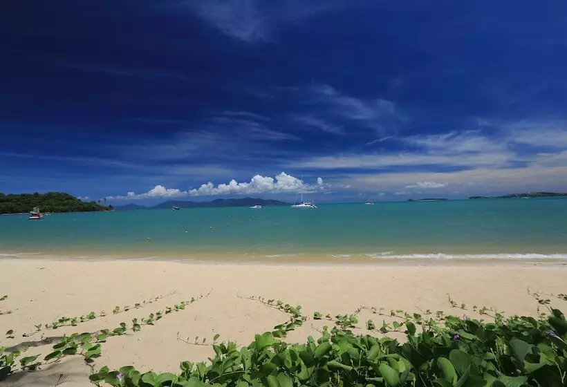 Resort Samui Palm Beach Lead By Celes Samui