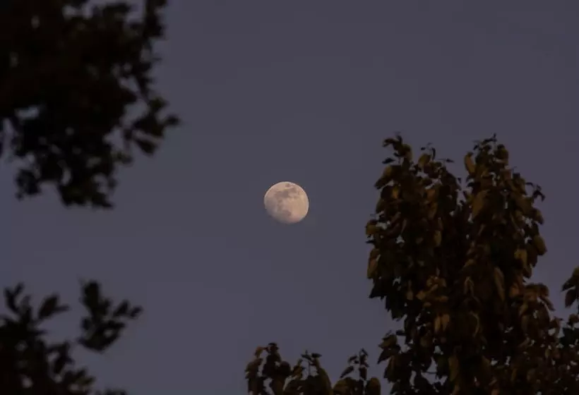 Hotelli The Goat Village Escape