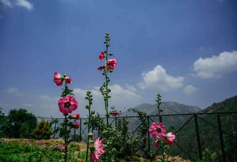 בית מלון כפרי The Goat Village Escape