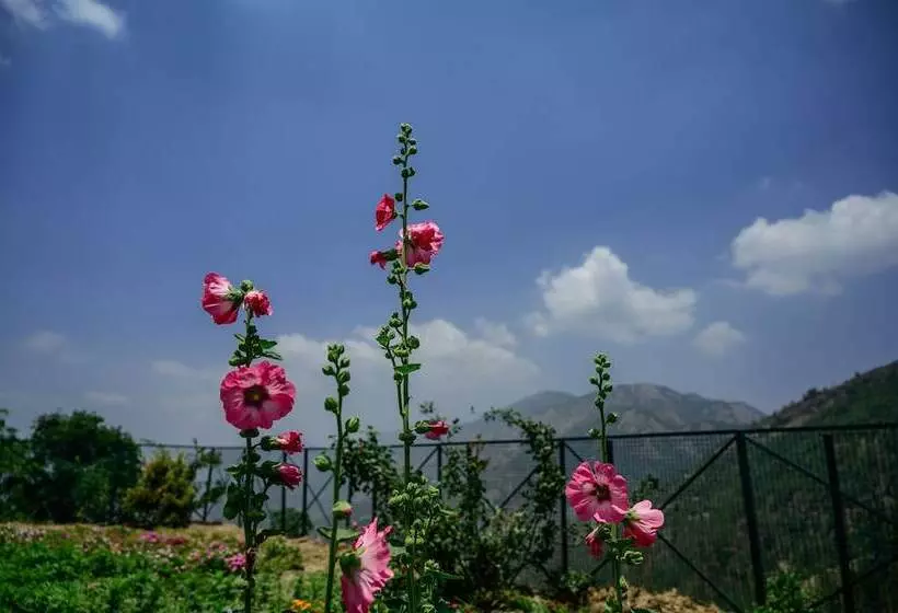 Hotelli The Goat Village Escape