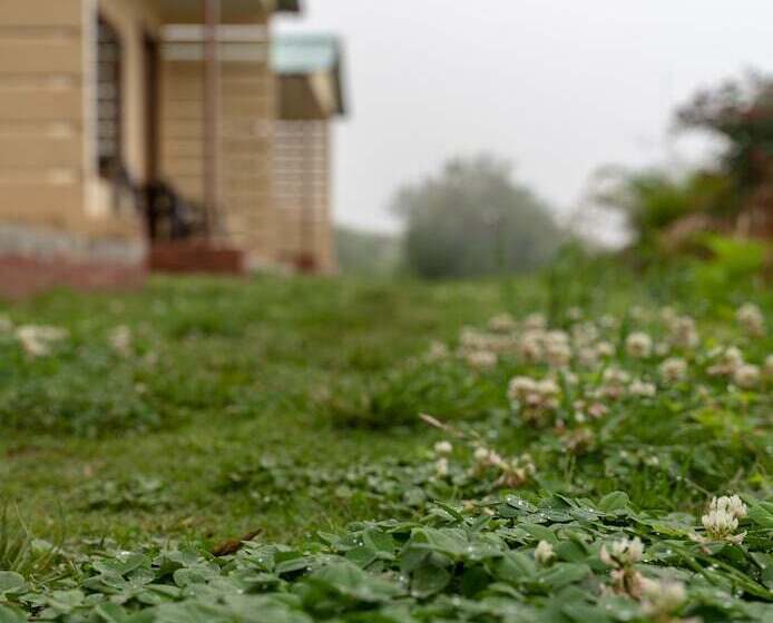 בית מלון כפרי The Goat Village Escape